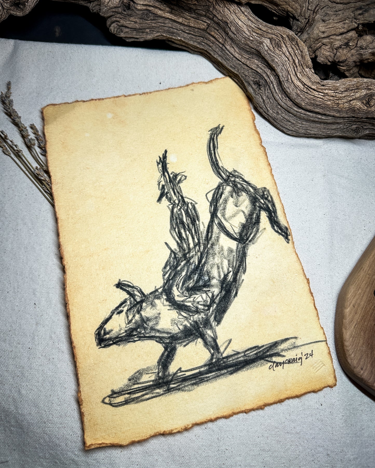 Wild Rodeo Collection - Bull 1