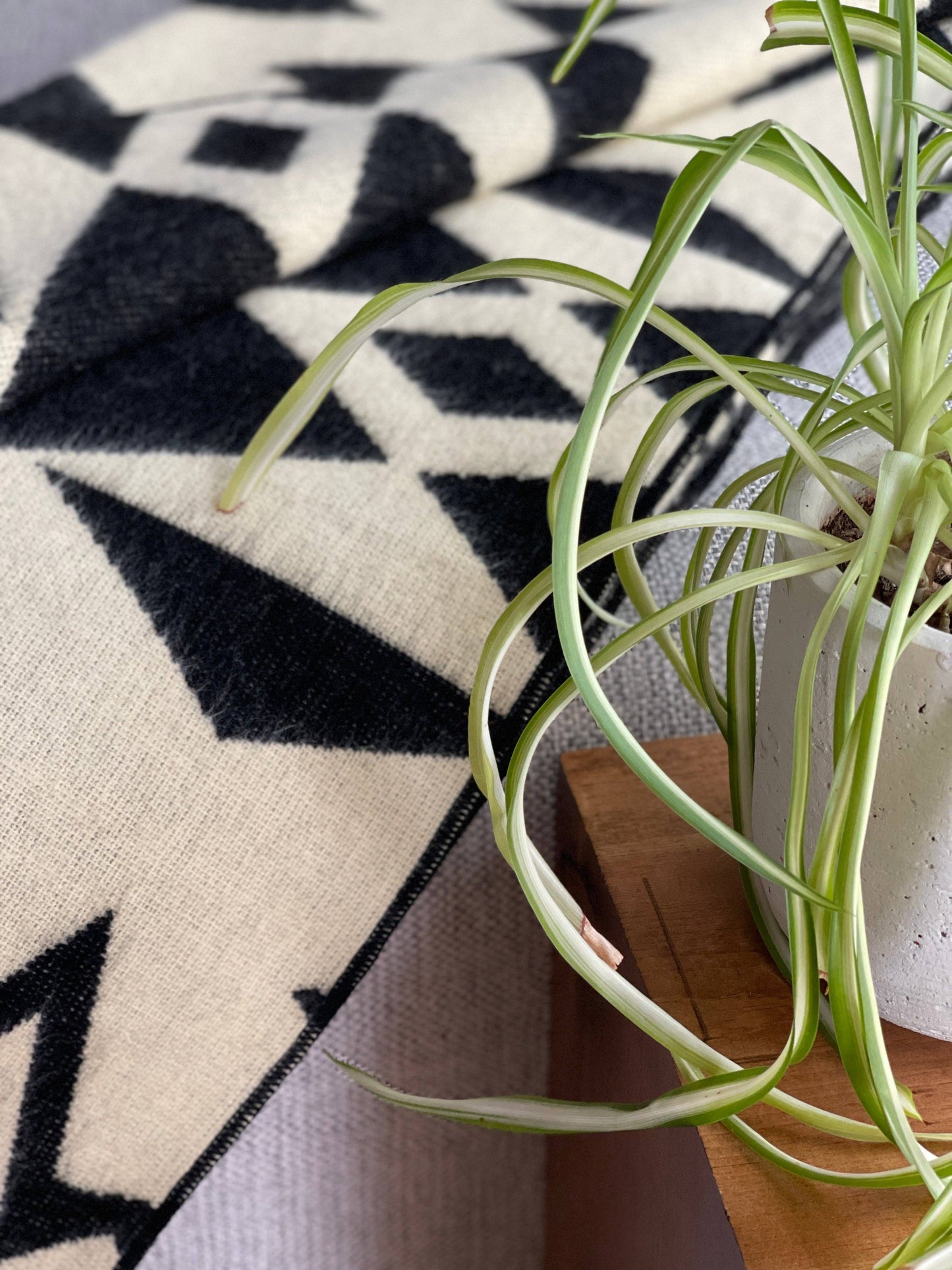 Beyond Borders Collective | Artisan-Made Blankets & Throws - Awa Throw Blanket - Natural / Black | home decor | Spring De