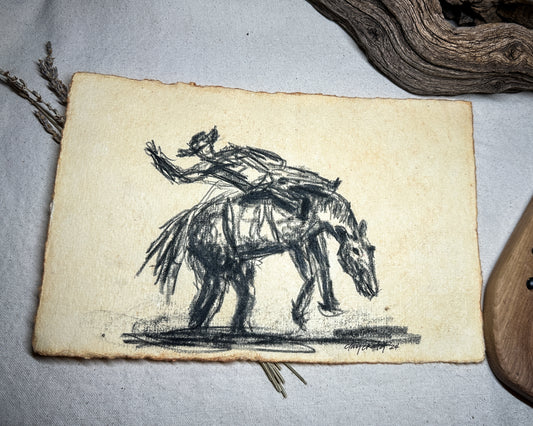 Wild Rodeo Collection - Bronc 5